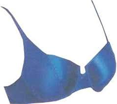 Magnetic Bra